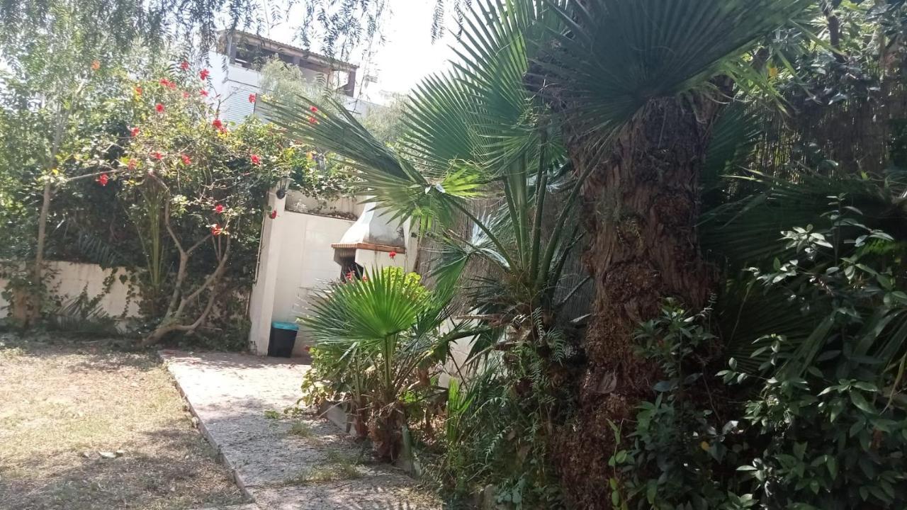 Apartamento - Jardin En Playa San Sebastian Sitges Exterior photo
